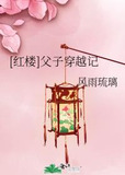 [红楼]父子穿越记