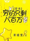 穷的只剩八百万
